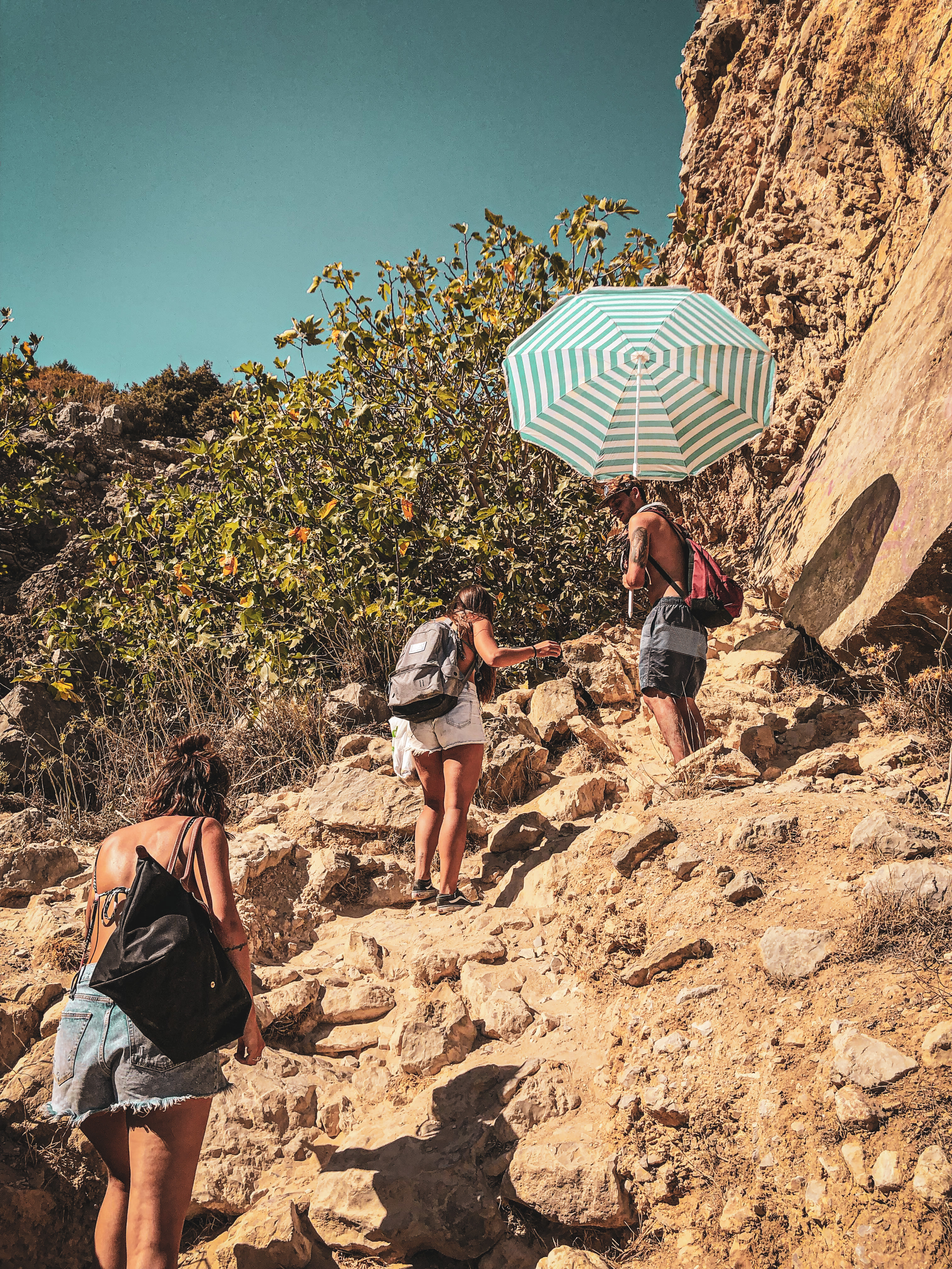 Um campo de grama abriga uma flor de dente-de-leão, preparando-se para a dispersão de sementes e levantar voo no ar.